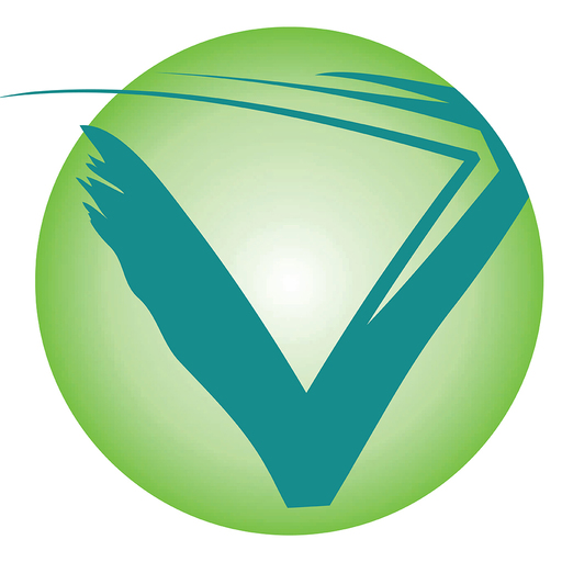 VIDHAL Healthcare